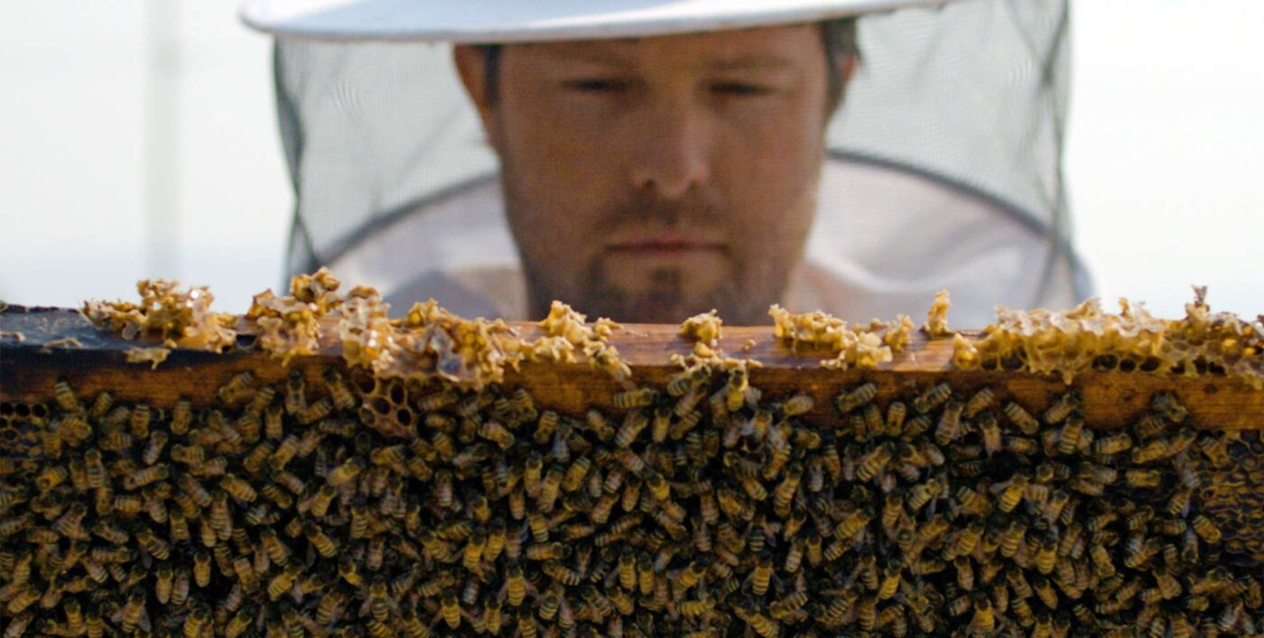 Beekeepers are struggling to keep up with farms' pollination needs